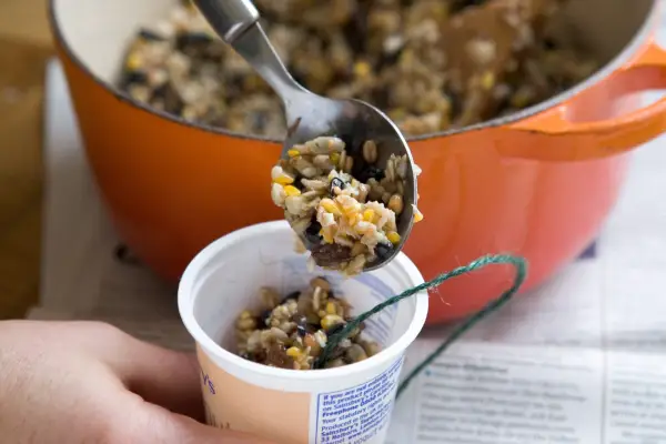 새를위한 뚱뚱한 공을 만드는 방법