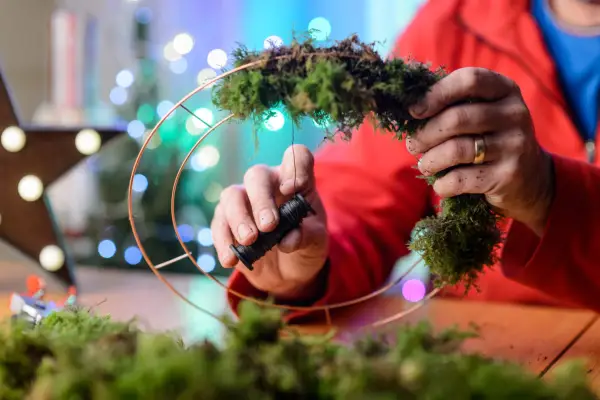 Adding damp sphagnum moss to the wreath frame