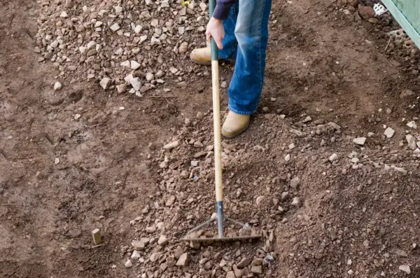 build-a-raised-bed-clearing-ground-2
