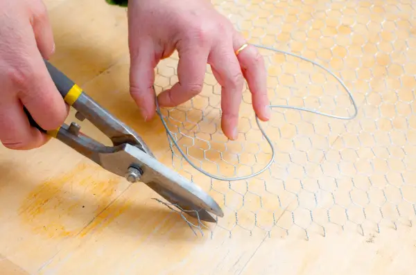 Cutting the chicken wire