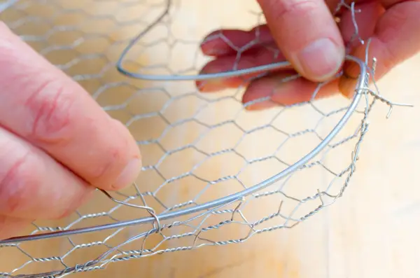 Twisting the chicken wire over the wire frame