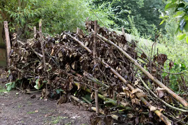 Wie man ein Tierheim macht
