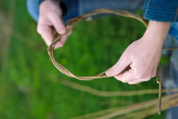 Making willow plant supports - creating a circular frame