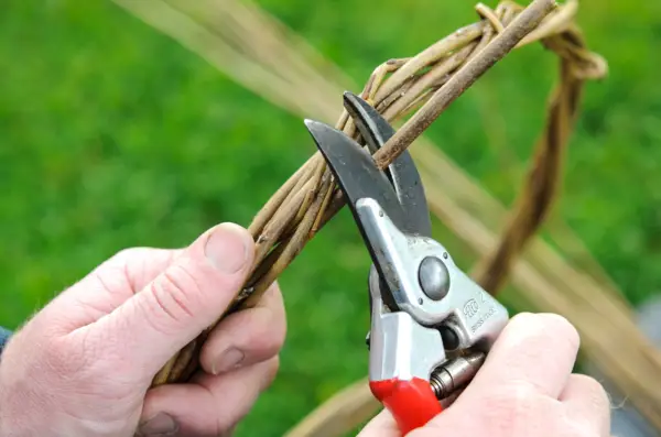 Making willow plant supports - trimming off untidy ends
