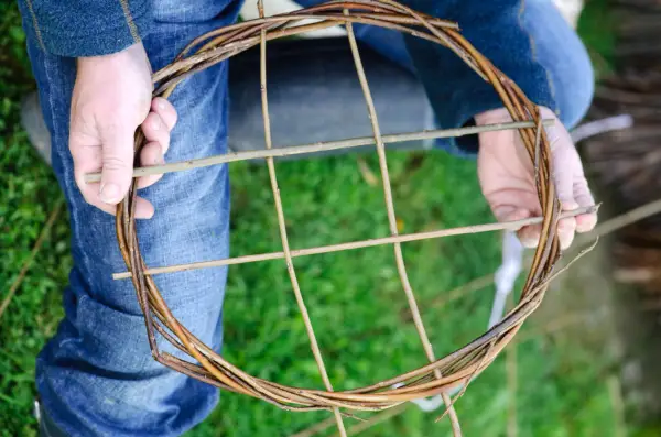 Making willow plant supports - inserting willow canes