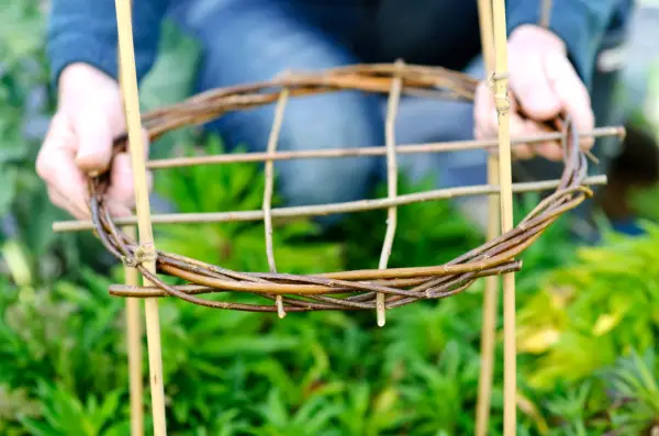 Willow plant support