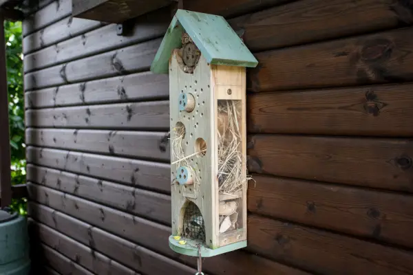 Bug hotel attached to shed