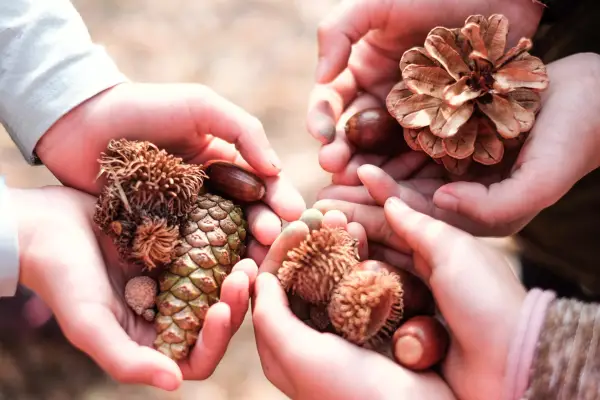 Nature collection. Getty Images