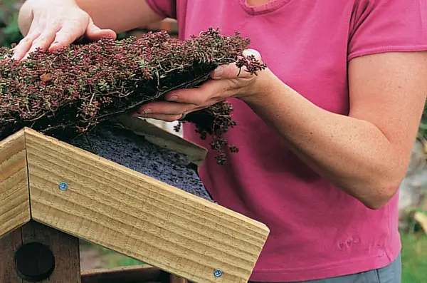 Adding the sedum matting