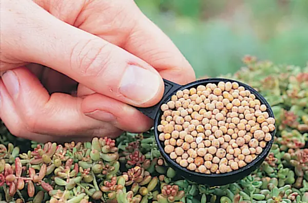 Adding slow-release fertiliser