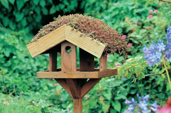 Jak vytvořit zelenou střechu pro váš ptačí stůl