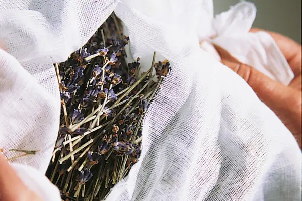 Tying lavender in a muslin bag