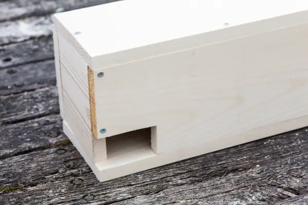How to make a nest box for swifts