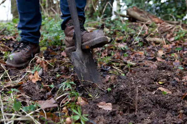 How to make a stumpery - digging a hole