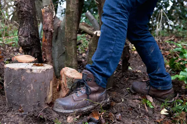 How to make a stumpery - firming the logs