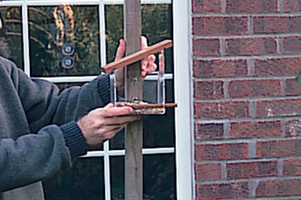 Moving the feeder closer to the house