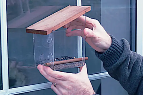 Fixing the bird feeder to the window