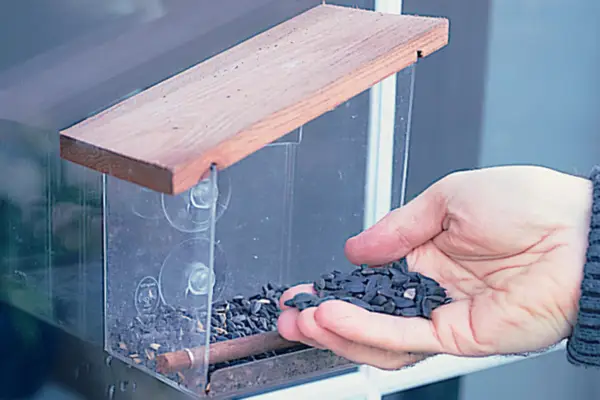 How to install a window bird feeder