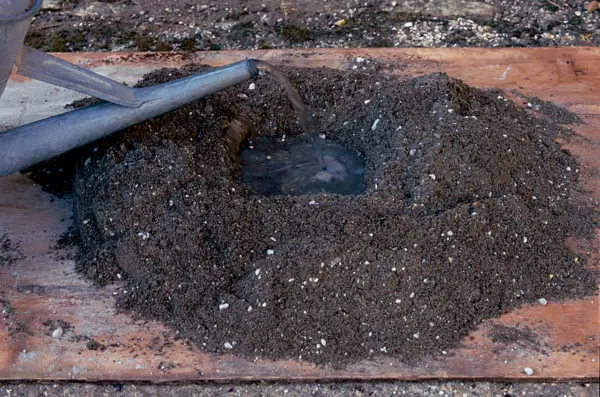 Mixing coir with cement