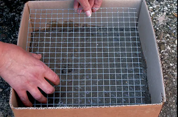Placing wire mesh over the cement