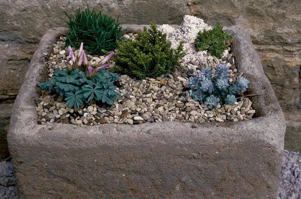 How to make an alpine trough