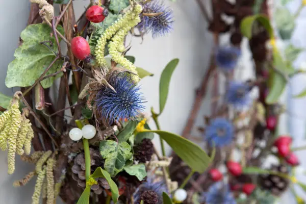 Mistletoe and teasel Christmas wreath