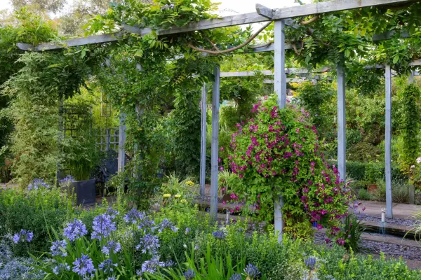 Large pergola with a rill running through the centre and plants growing outside