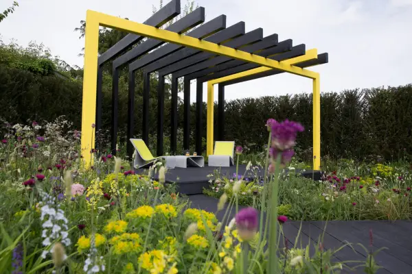 Paint your wood to make a statement that serves as a backdrop for flowers in the garden