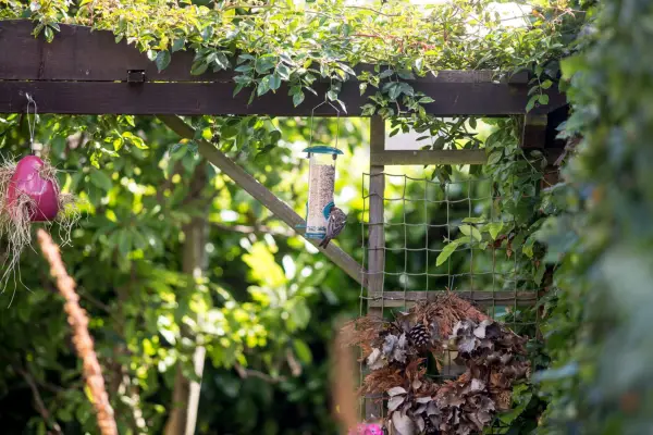 Hang bird feeders and other wildlife habitats to enhance your pergola