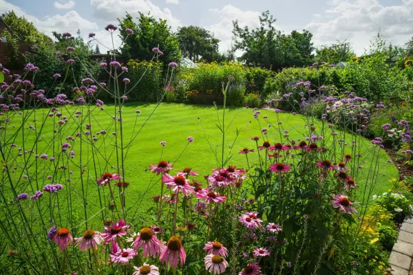 A lawn surrounded by flowerbeds