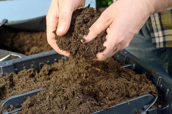 Living wall - adding peat-free compost