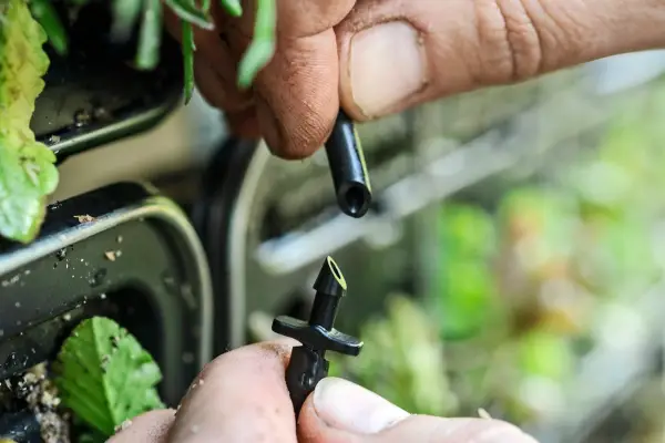 Living wall - connecting the irrigation system