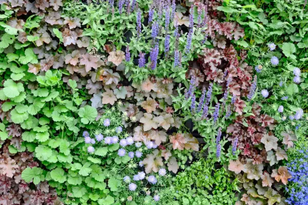 How to create a living wall