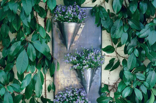 איך להכין אדנית קיר מוביל