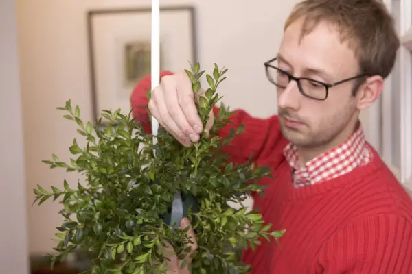 Mistletoe and box Christmas ball - adding box