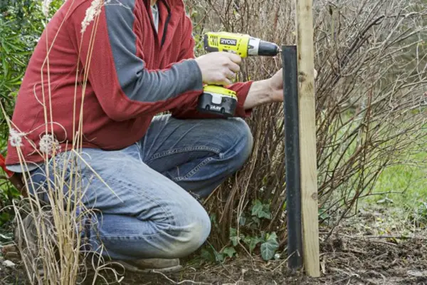 Espalier fruit tree screen - fixing the posts