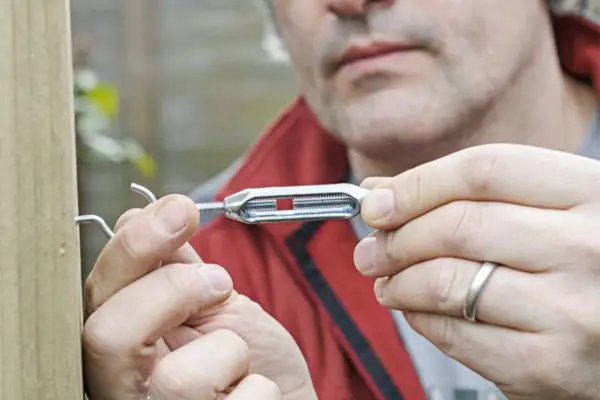 Espalier fruit tree screen - fixing the cables