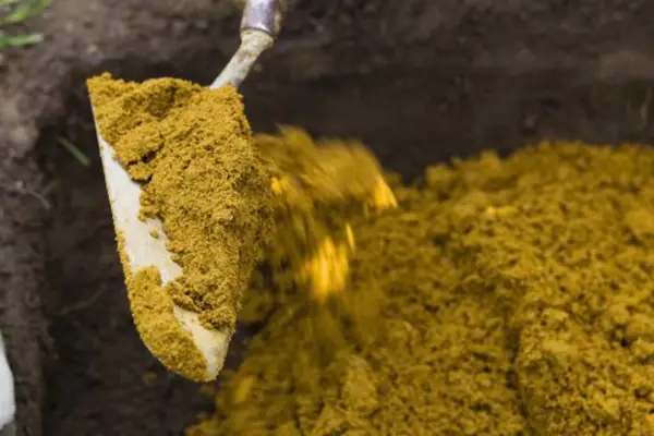 How to lay stepping stones - adding sharp sand to the hole