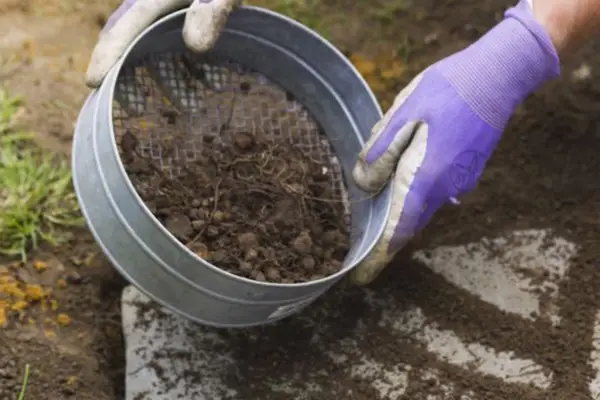How to lay stepping stones - sieving soil into the gaps