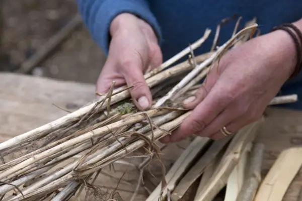 Assembling dried plant stems
