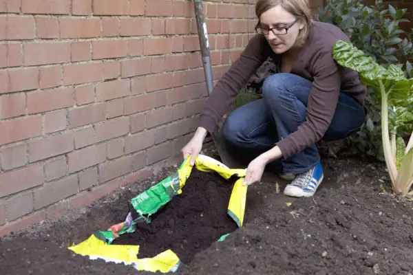 Laying the growing bag in the trench