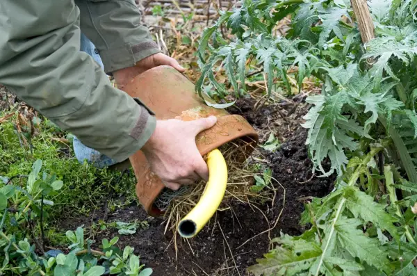 Placing the nest in the hole