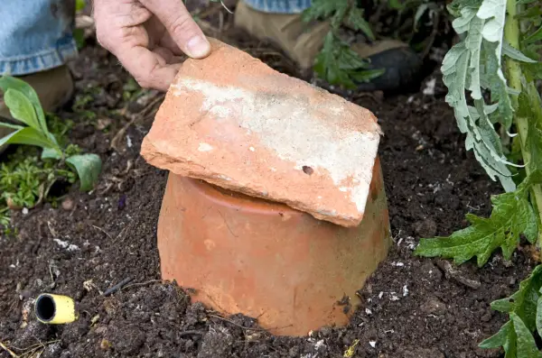 How to make a bumblebee nest