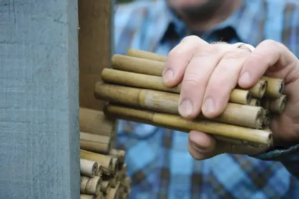 Adding the bamboo canes