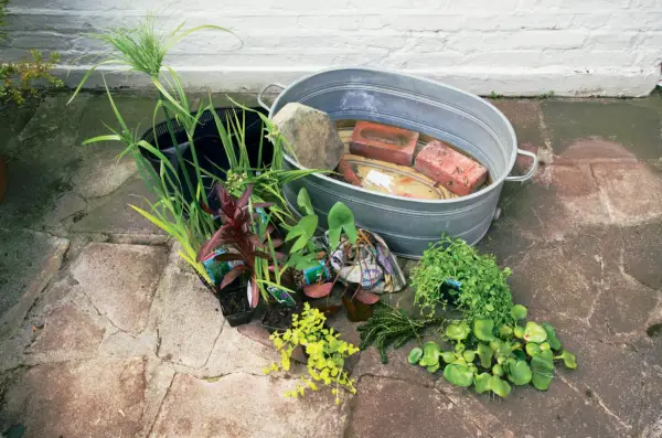 Pond in a pot - adding bricks to the pot