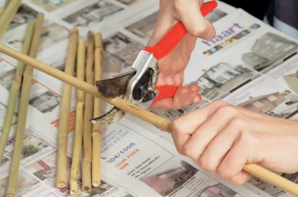 Make your own plant supports - cutting the bamboo canes