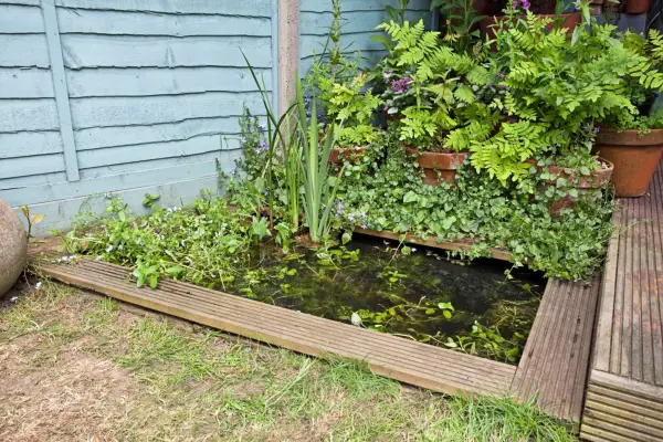 How to build a garden pond
