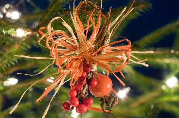 Comment faire des décorations de Noël de rosehip