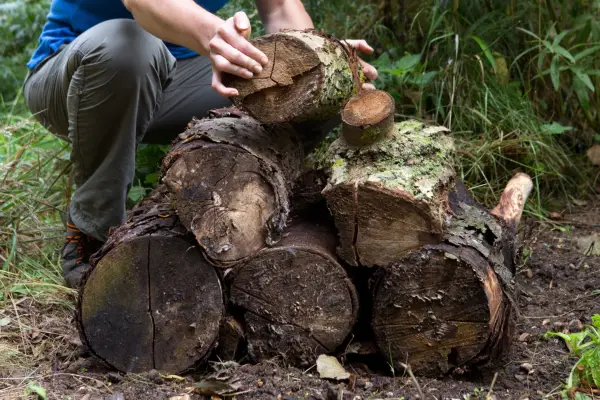 Creating a log pile dead wood wildlife habitat