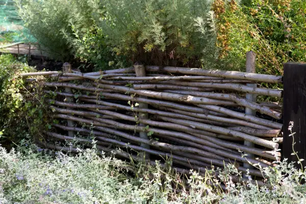 A fence made of branches woven between sturdy posts